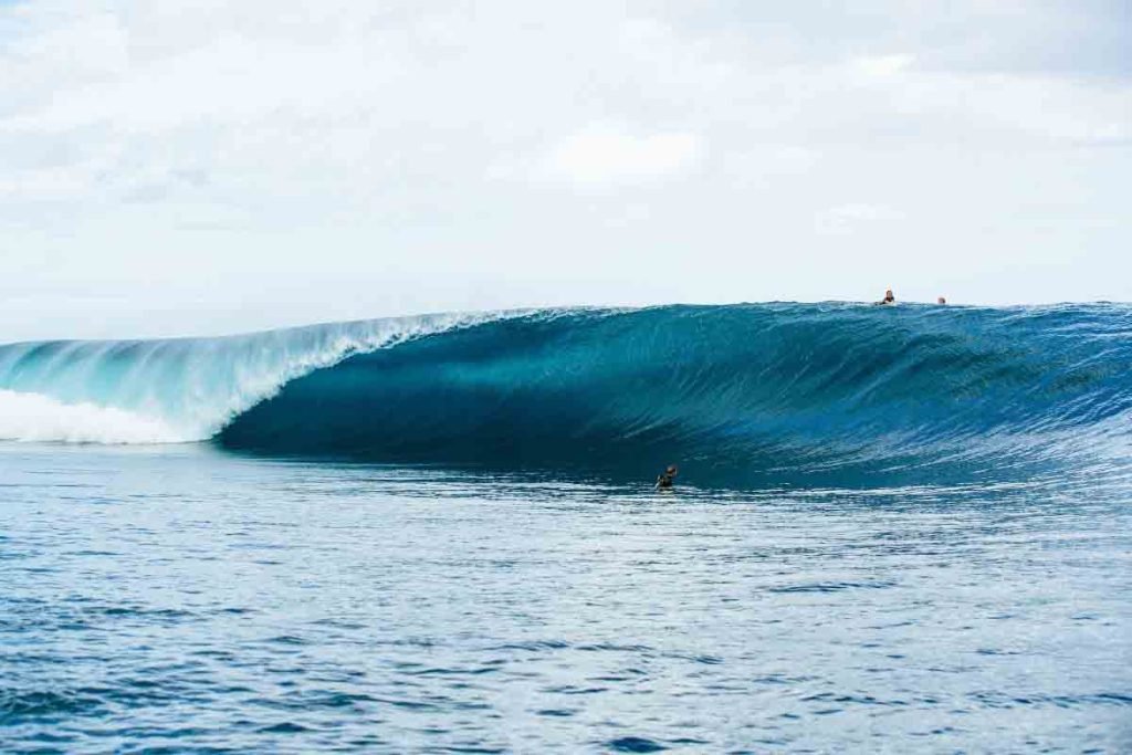 SHISEIDO Tahiti Pro