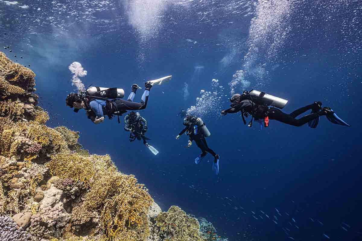 Scuba Finders